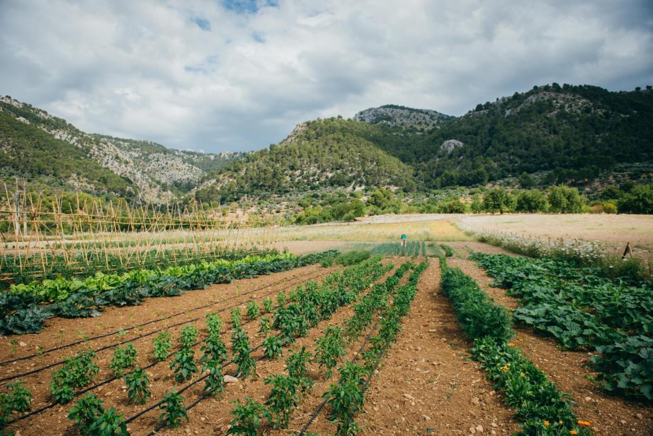 Monnaber Vell Ξενοδοχείο Campanet Εξωτερικό φωτογραφία